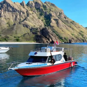 one day komodo tour