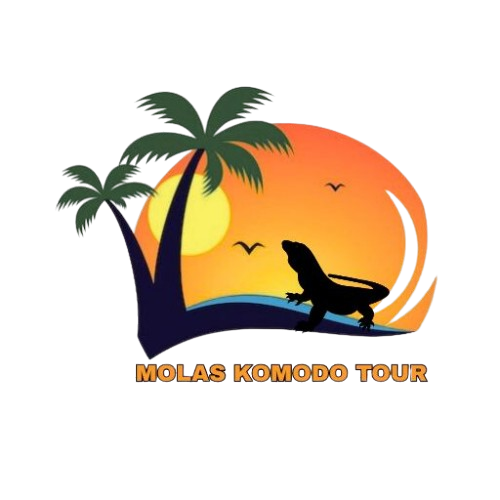mari komodo tour